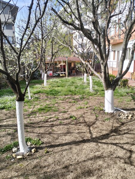 Titan, Nicolae Grigorescu