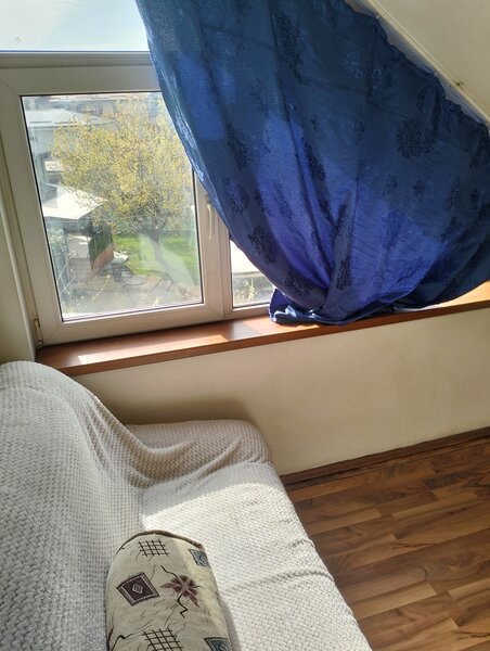 Titan, Nicolae Grigorescu