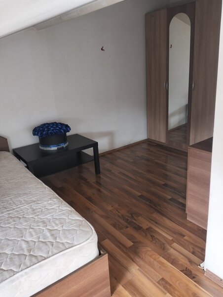 Titan, Nicolae Grigorescu